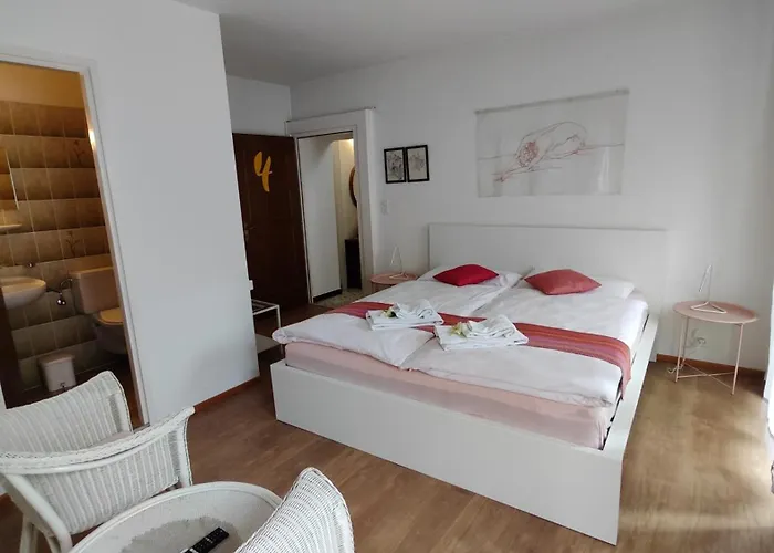 Hotel Scaletta Muralto